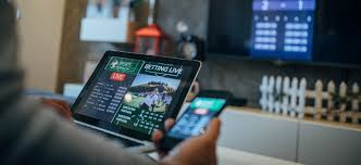 Best No KYC Platforms for 6
