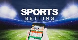 Exploring Casinos With Bonus Progress Meters 14 Exploring Casinos With Bonus Progress Meters 14