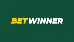 Understanding the Basics of Sports Betting A Comprehensive Guide on Sports Betting