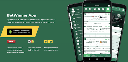Ultimate Guide to Sports Betting on BetWinner 14