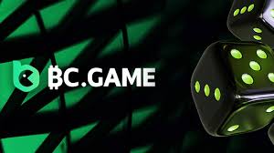 The Ultimate Guide to BC.Game platform